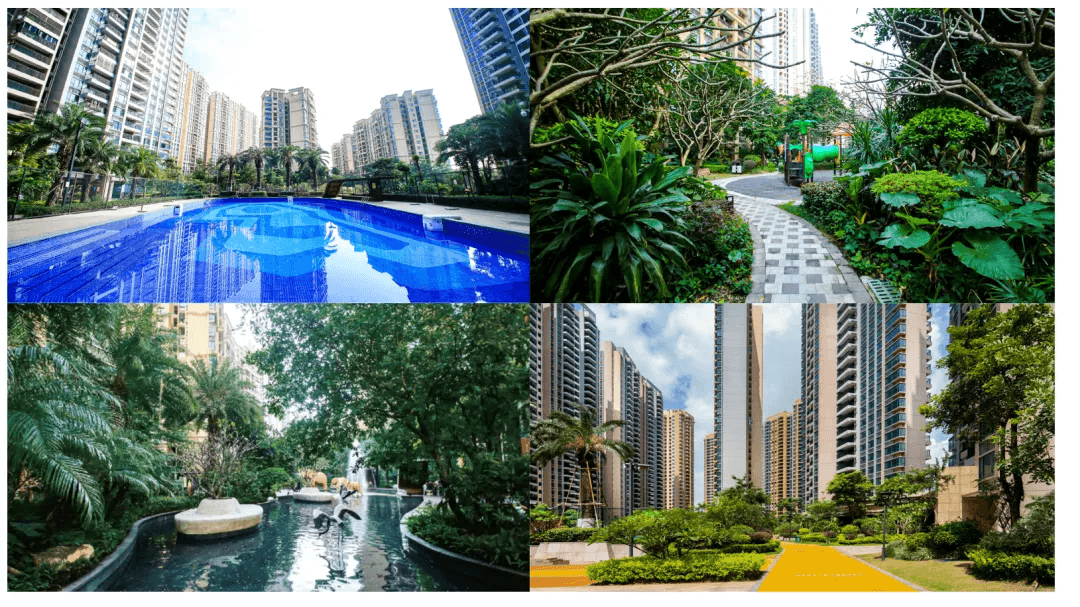 中澳春城